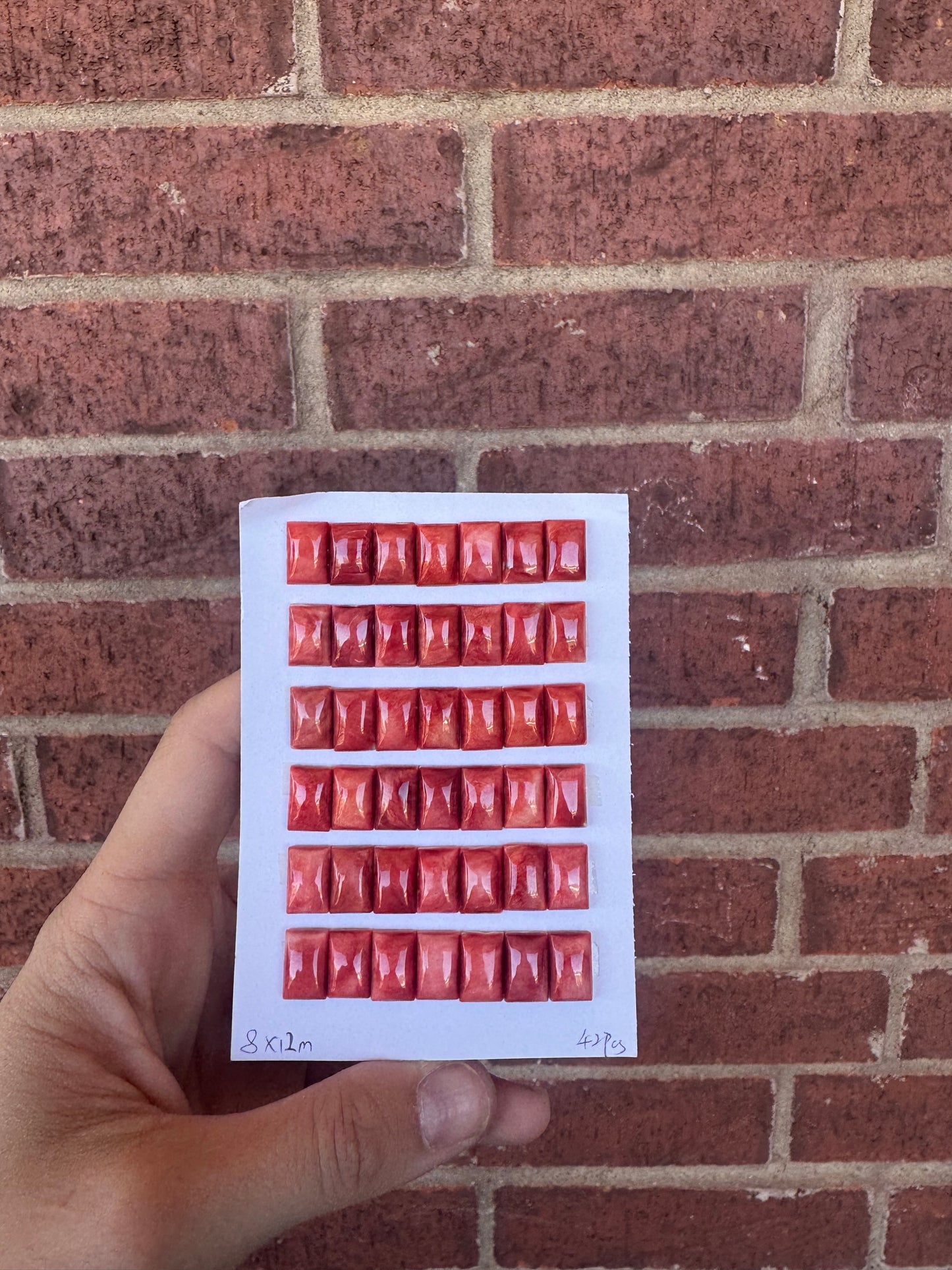 Spiny Oyster Cabochon