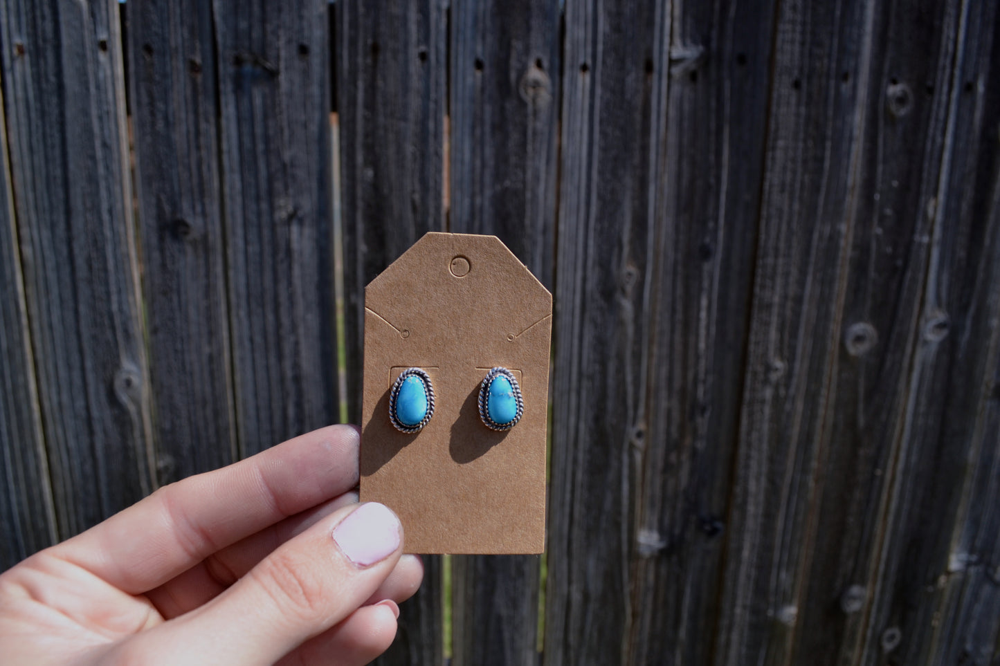 Blue Ridge Earrings