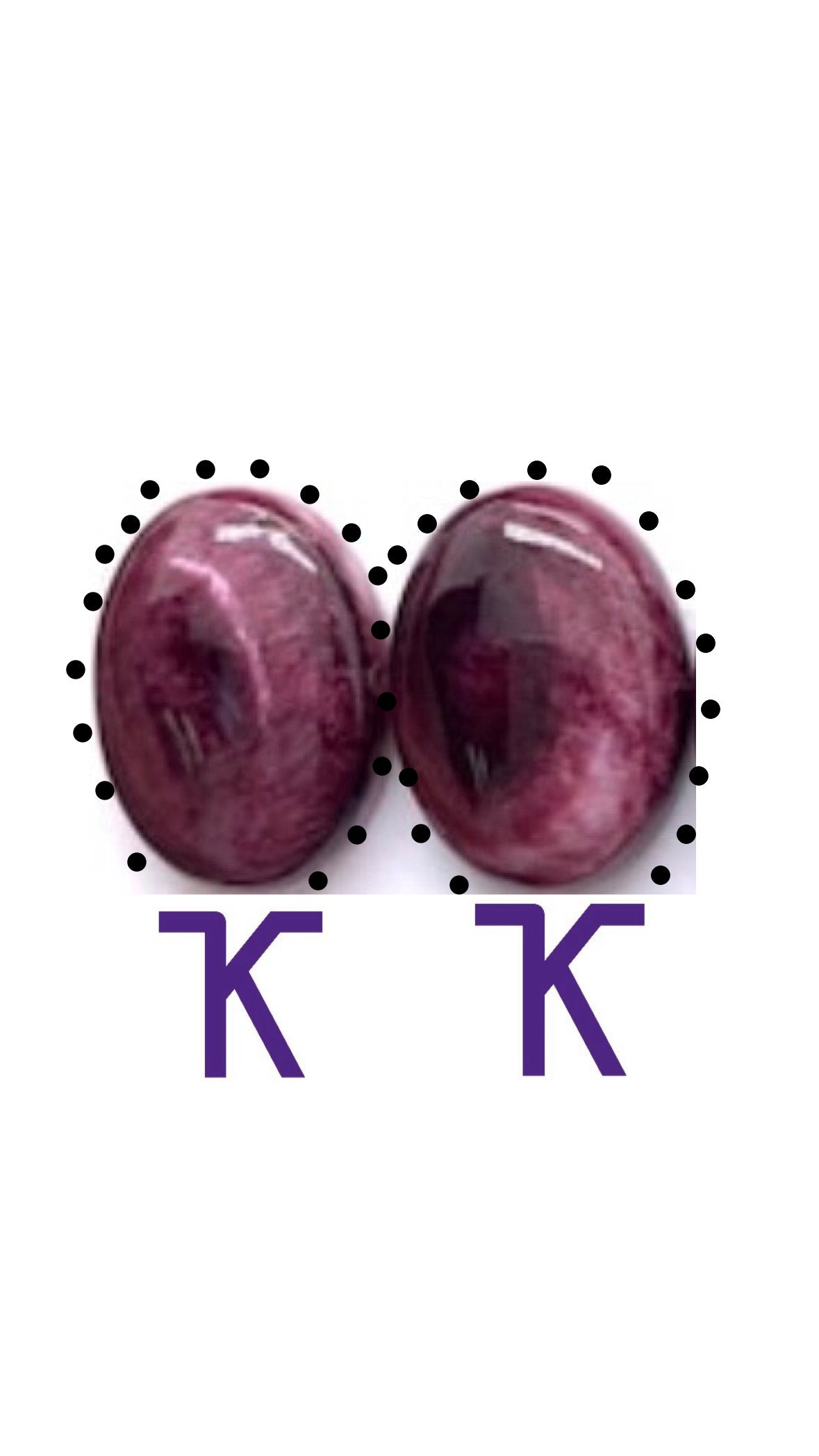 School Pride Brand Earrings