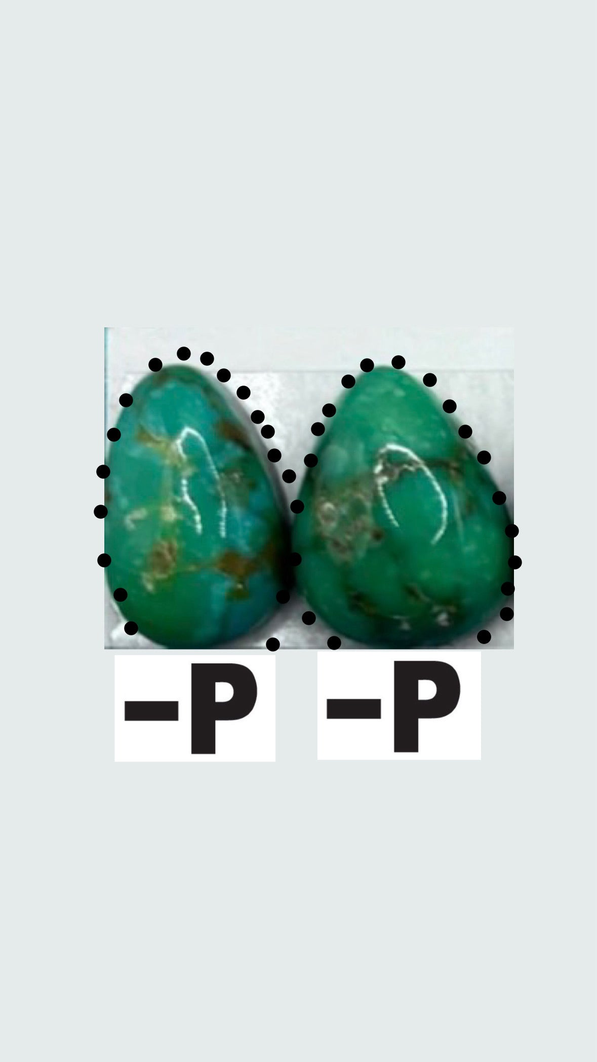 School Pride Brand Earrings